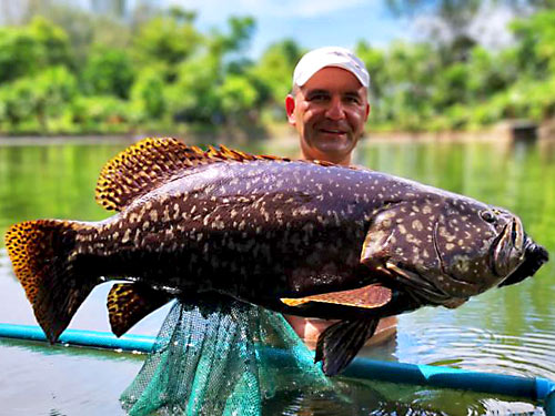 Giant Trevally Phuket.