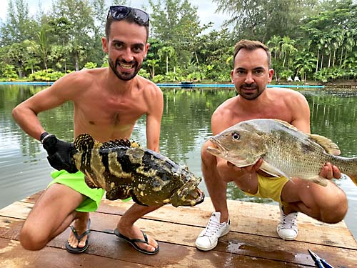 A Grouper and a Snapper.