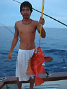 Long-Finned Bigeye.