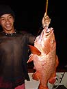 A Similan Mangrove Jack.