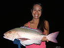 Mangrove Jack from the Andaman Islands.