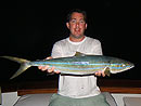 Rainbow Runner from the Andaman Islands.