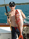 Ruby Snapper near Phuket.