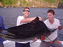 Sailfish caught on a belly strip.