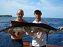 Sailfish caught on a belly strip.