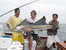 Sailfish at Racha Yai.