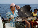 Sailfish at Racha Yai.