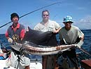 Sailfish at the Similan Islands.