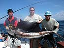 Sailfish at the Similan Islands.