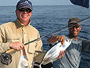 Skipjack Tuna on fly.