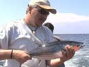 Skipjack Tuna at the drop-off.