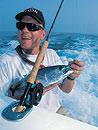 Skipjack Tuna on fly.