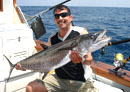 Narrow Barred Spanish Mackerel.