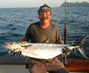 Narrow-barred Spanish Mackerel.