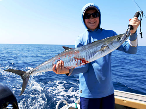 Spanish Mackerel