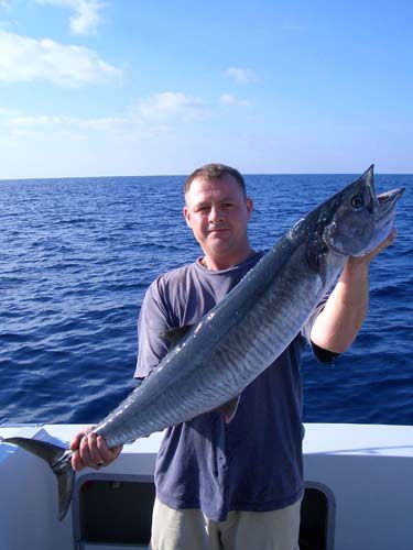 Narrow-barred Spanish Mackerel.