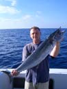 Narrow-barred Spanish Mackerel.