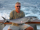 Narrow-barred Spanish Mackerel.