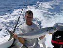 Narrow-barred Spanish Mackerel.