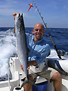 Narrow-barred Spanish Mackerel.