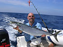 Narrow-barred Spanish Mackerel.