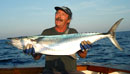 Narrow Barred Spanish Mackerel.