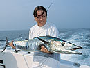 Wahoo from the Andaman Islands.