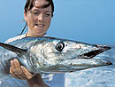 Wahoo from the Andaman Islands.