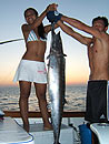 Wahoo from the Andaman Islands.