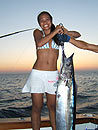 Wahoo from the Andaman Islands.