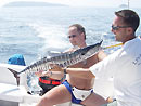 Wahoo from the Similan Islands.