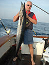 Wahoo from the Andaman Islands.