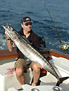 Wahoo from the Andaman Islands.