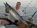 Wahoo from the Andaman Islands.