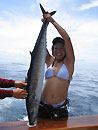 Wahoo from the Similans.