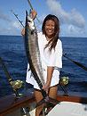 Wahoo from the Similans.