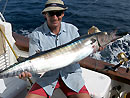 Wahoo from the Similan Islands.