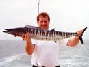 Wahoo from the Racha Islands.