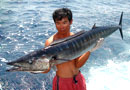 Wahoo from The Andan Islands.