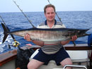 Giant Trevally from the Similans.