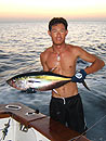 Similan Island Yellowfin Tuna.