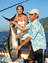 Andaman Island Yellowfin Tuna.