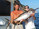 Andaman Island Yellowfin Tuna.