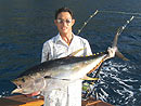 Andaman Island Yellowfin Tuna.