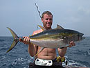 Yellowfin Tuna from the Similan Islands.