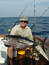 Andaman Island Yellowfin Tuna.