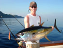 Yellowfin Tuna from The Andamans.