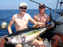 Yellowfin Tuna from The Andaman Islands.