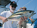 Yellowfin Tuna from the Andaman Islands.