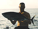 Yellowfin Tuna from the drop-off.